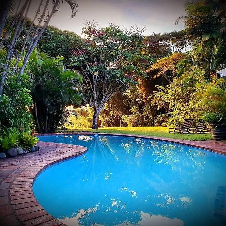 St Lucia Kingfisher Lodge Exterior foto