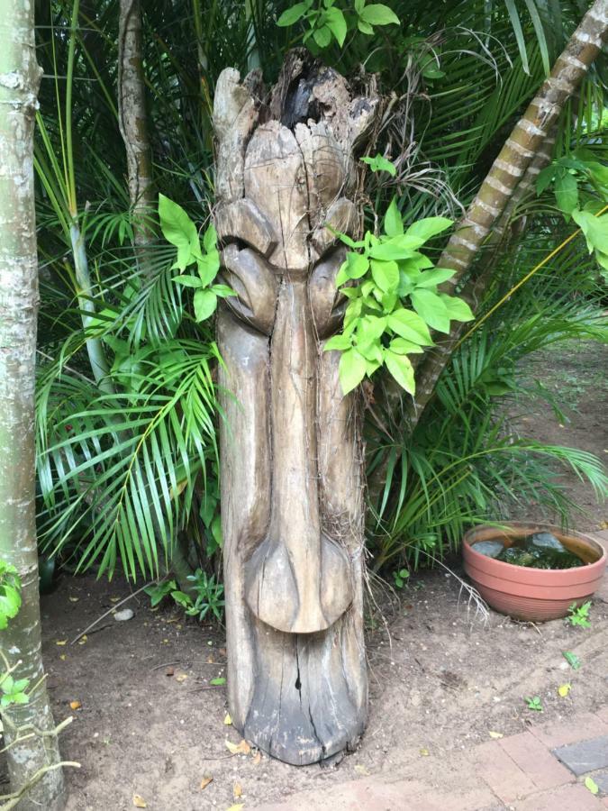 St Lucia Kingfisher Lodge Exterior foto
